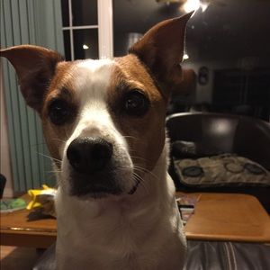 Meet your Posher, Mary